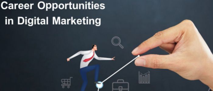 Career Options After Digital Marketing